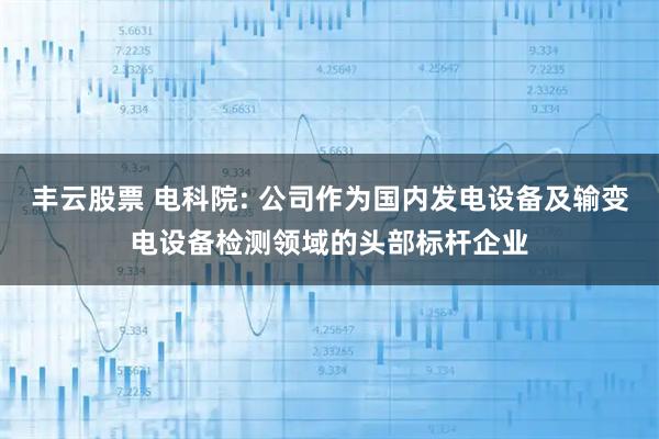 丰云股票 电科院: 公司作为国内发电设备及输变电设备检测领域的头部标杆企业