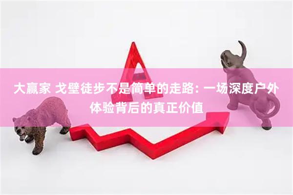 大赢家 戈壁徒步不是简单的走路: 一场深度户外体验背后的真正价值